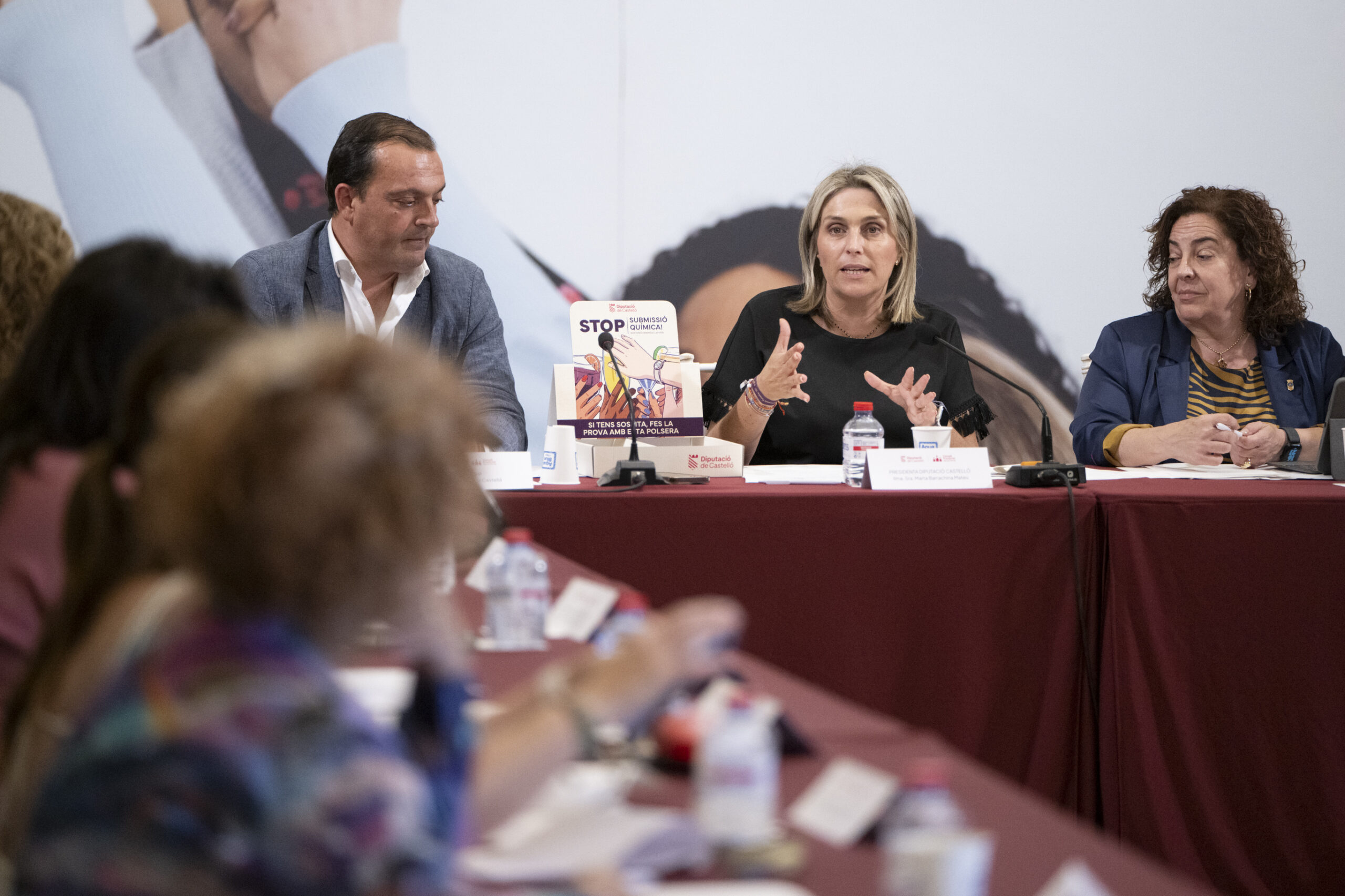 4291 09 06 26 CONSELL DE LA DONA DSC8034 scaled