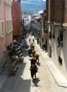 Bous Albocasser
