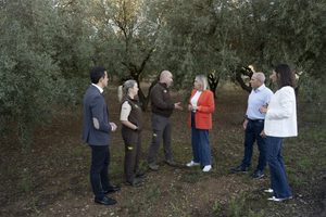 Guardas rurales