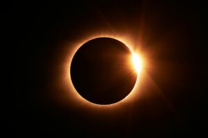 Jongsun lee F pSZO jeE8 unsplash