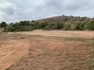 Llosa14