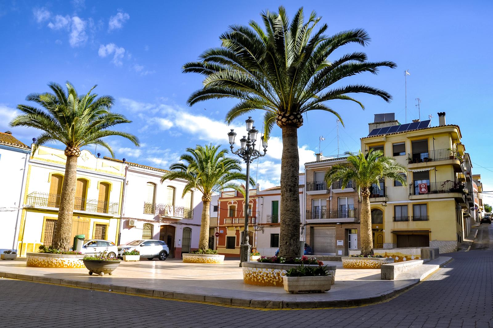 Llosa8