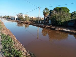 Inundaciones Nules 2025 (8)
