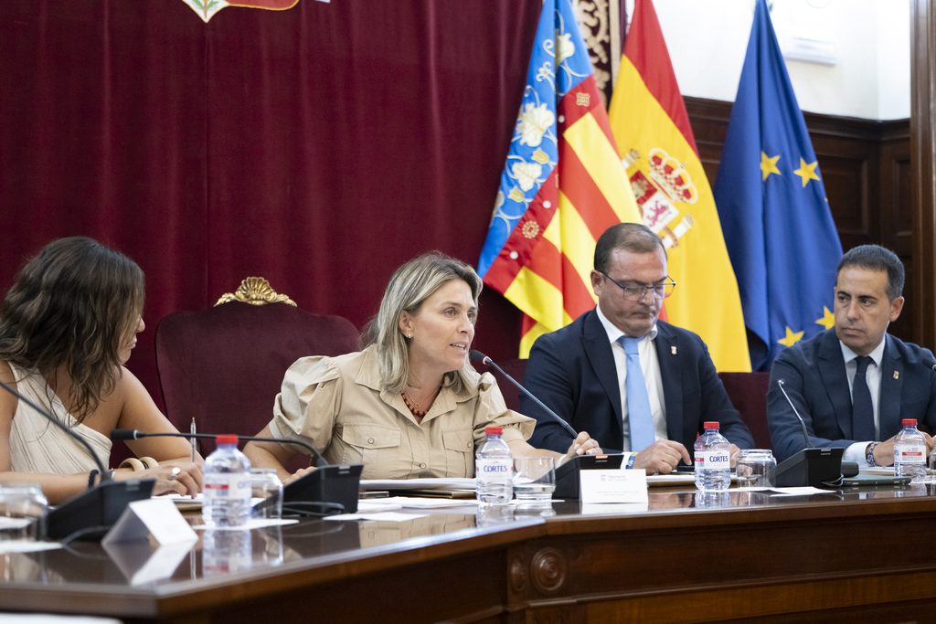 Pleno ordinario agosto (2)