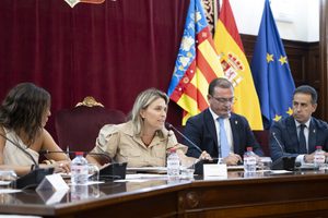 Pleno ordinario agosto (2)