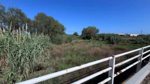 Torrent de Nules