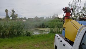 Tratamientos mosquitos (1)