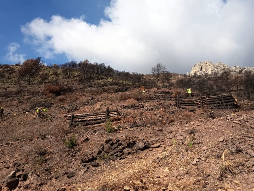 Incendi (2)