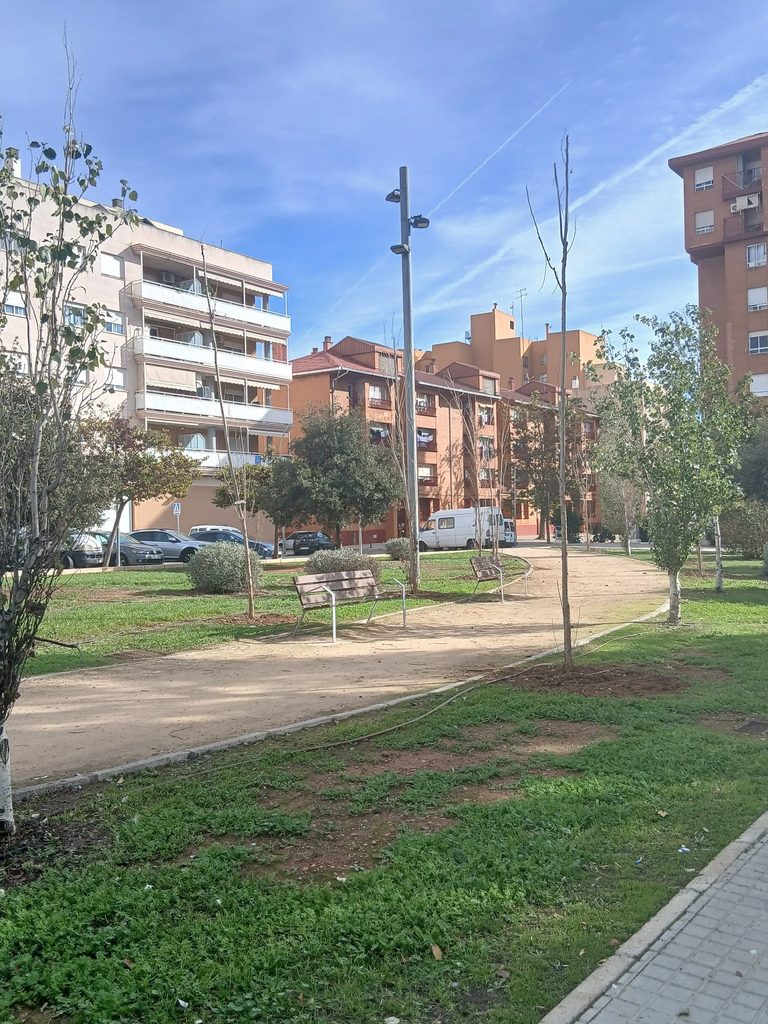Plantació arbres