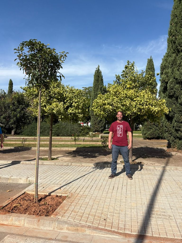 Plantacio arbres