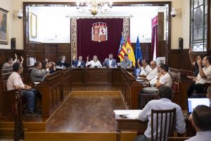 Pleno Consorcio Provincial de Aguas