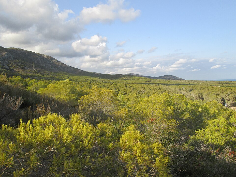 Sierra de Irta