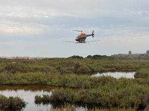 Tratamientos aéreos mosquitos (1)