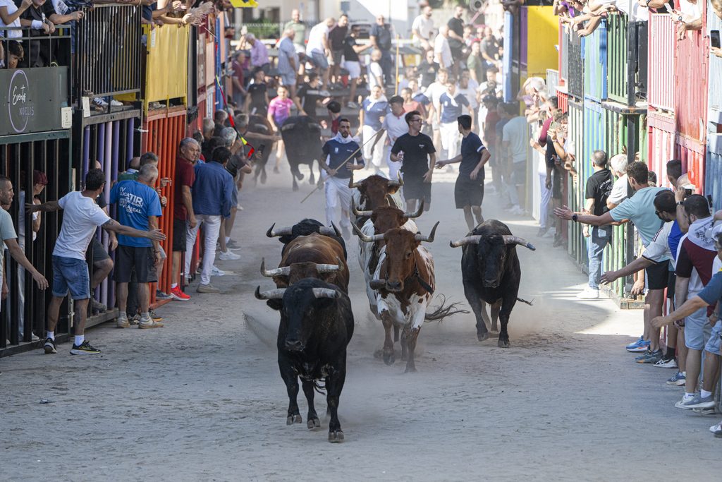 Festejos taurinos (2)