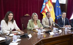 Pleno ordinario octubre (2)
